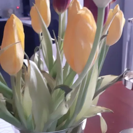 Weekend 88m Big Numer 1 Dobry Standard Blisko Centrum - Poczuj Sie W Domu I Przedluz Bezposrednio Rezerwacje By Zostac U Nas Na Dluzej Bez Oplat Za Strefe Parkowania *