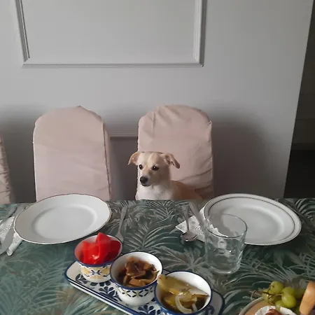 Weekend 88m Big Numer 1 Dobry Standard Blisko Centrum - Poczuj Sie W Domu I Przedluz Bezposrednio Rezerwacje By Zostac U Nas Na Dluzej Bez Oplat Za Strefe Parkowania Apartment *