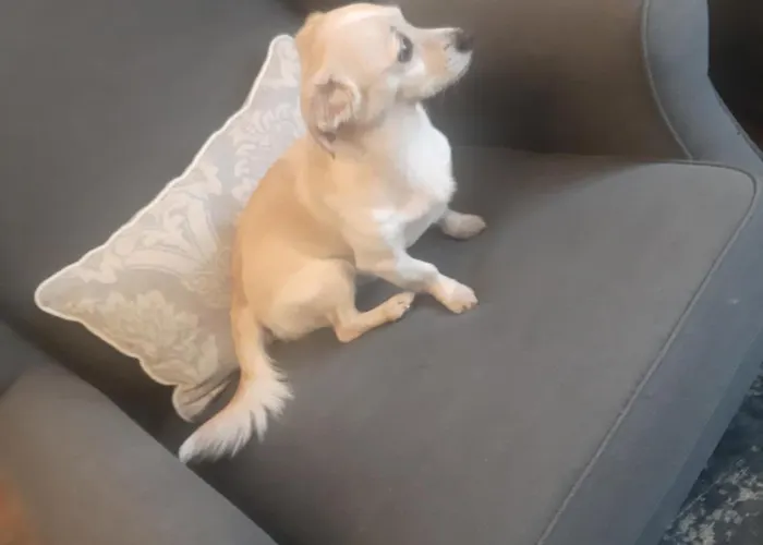 Apartamento Weekend 88m Big Numer 1 Dobry Standard Blisko Centrum - Poczuj Sie W Domu I Przedluz Bezposrednio Rezerwacje By Zostac U Nas Na Dluzej Bez Oplat Za Strefe Parkowania Lublin