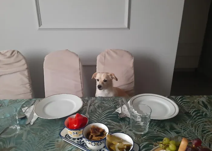 Weekend 88m Big Numer 1 Dobry Standard Blisko Centrum - Poczuj Sie W Domu I Przedluz Bezposrednio Rezerwacje By Zostac U Nas Na Dluzej Bez Oplat Za Strefe Parkowania Apartmán *